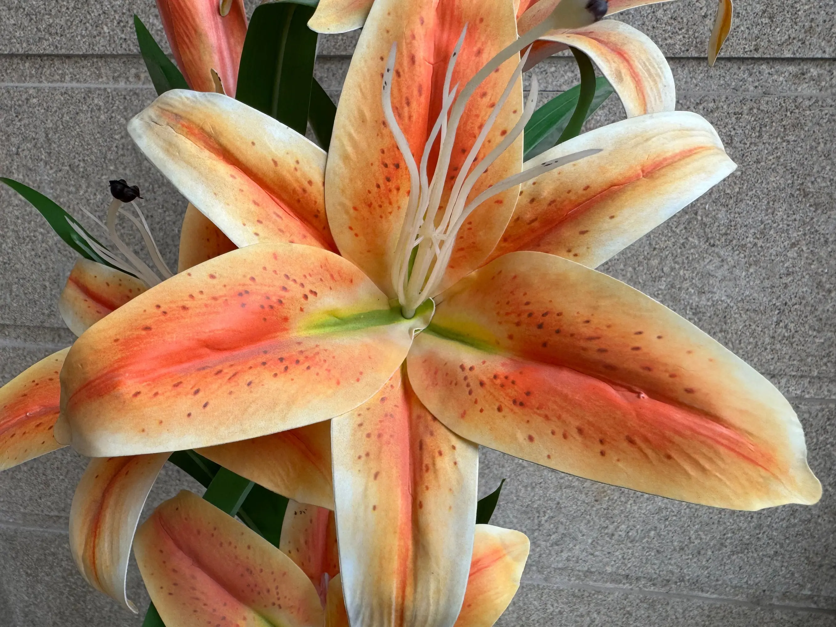 Apple iPhone 15 Pro Max Close Up Image.