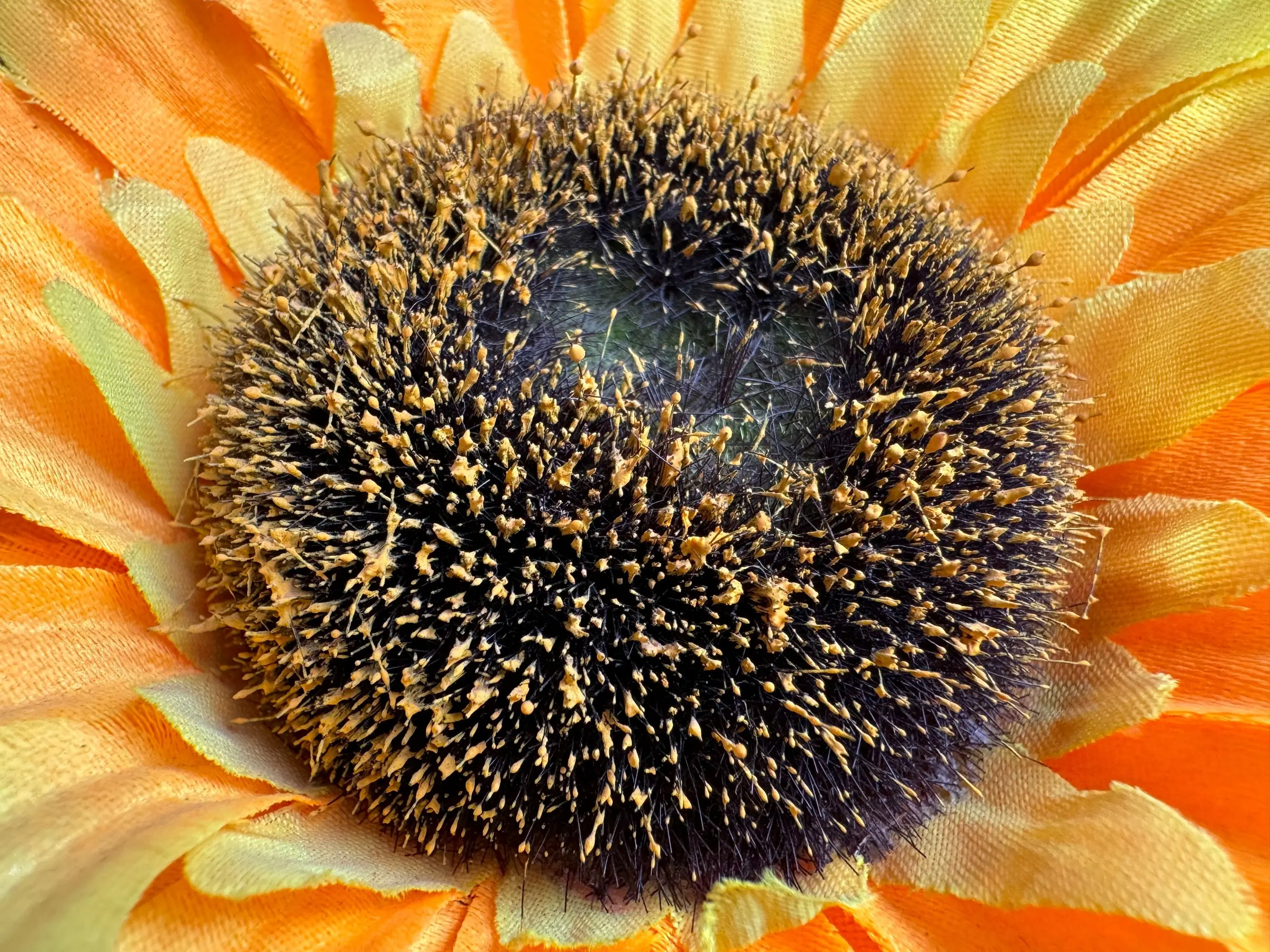 Apple iPhone 15 Pro Max Macro Image.