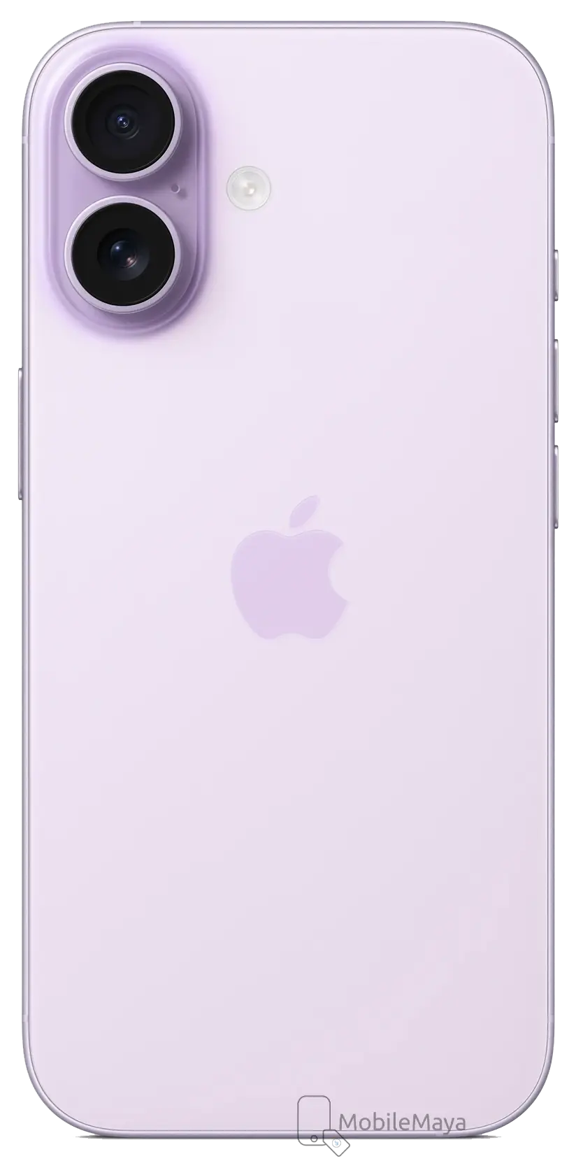 Apple iPhone 17 Back Image