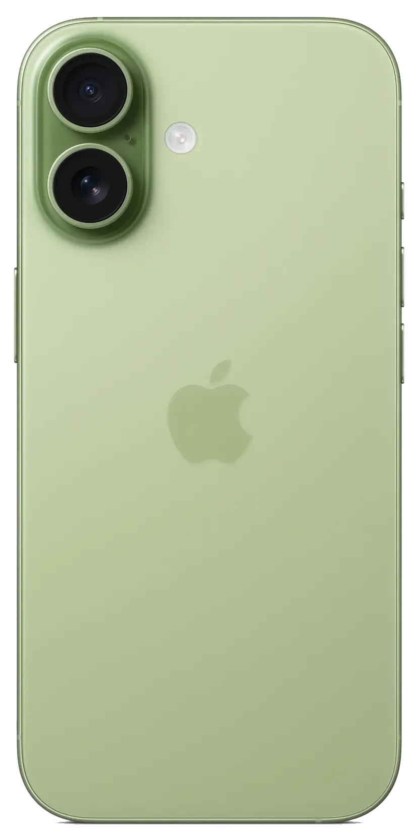 Apple iPhone 17 Sage Back Image