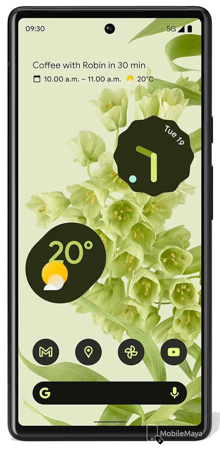 Google Pixel 6 Front side
