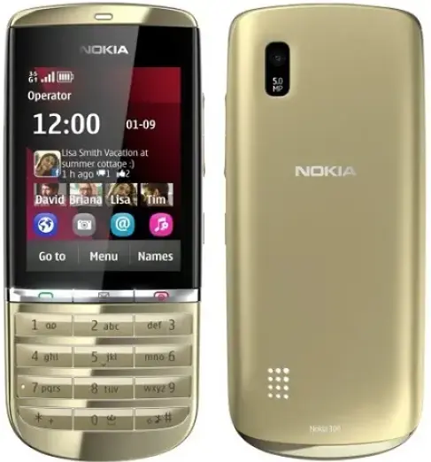 Nokia Asha 300 Gold Image.png
