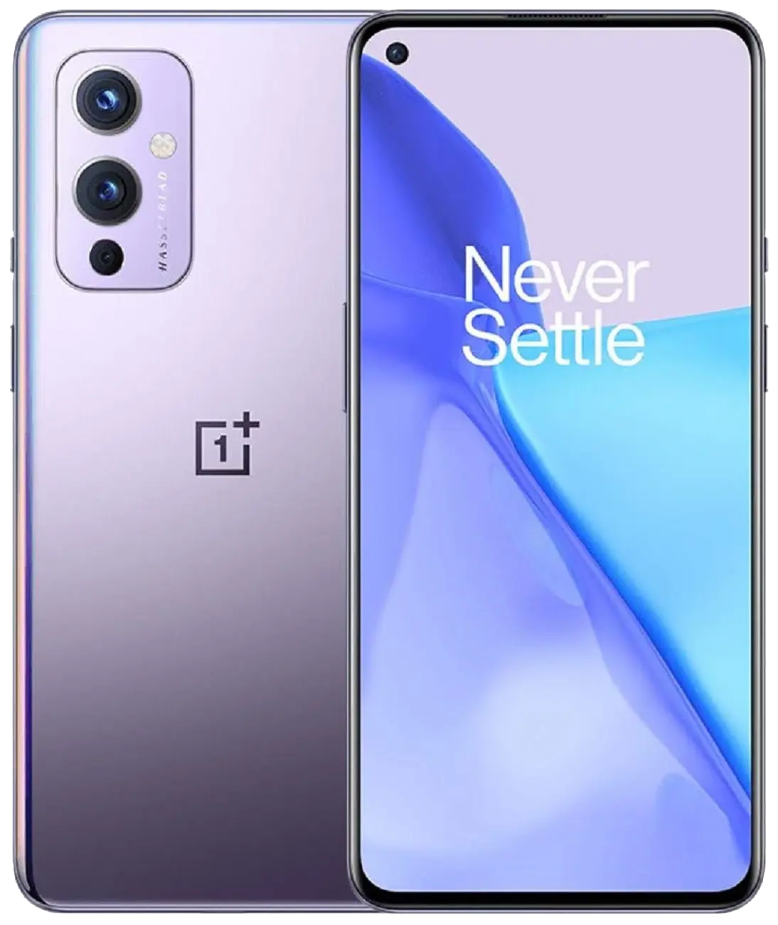 Oneplus 9 Winter Mist