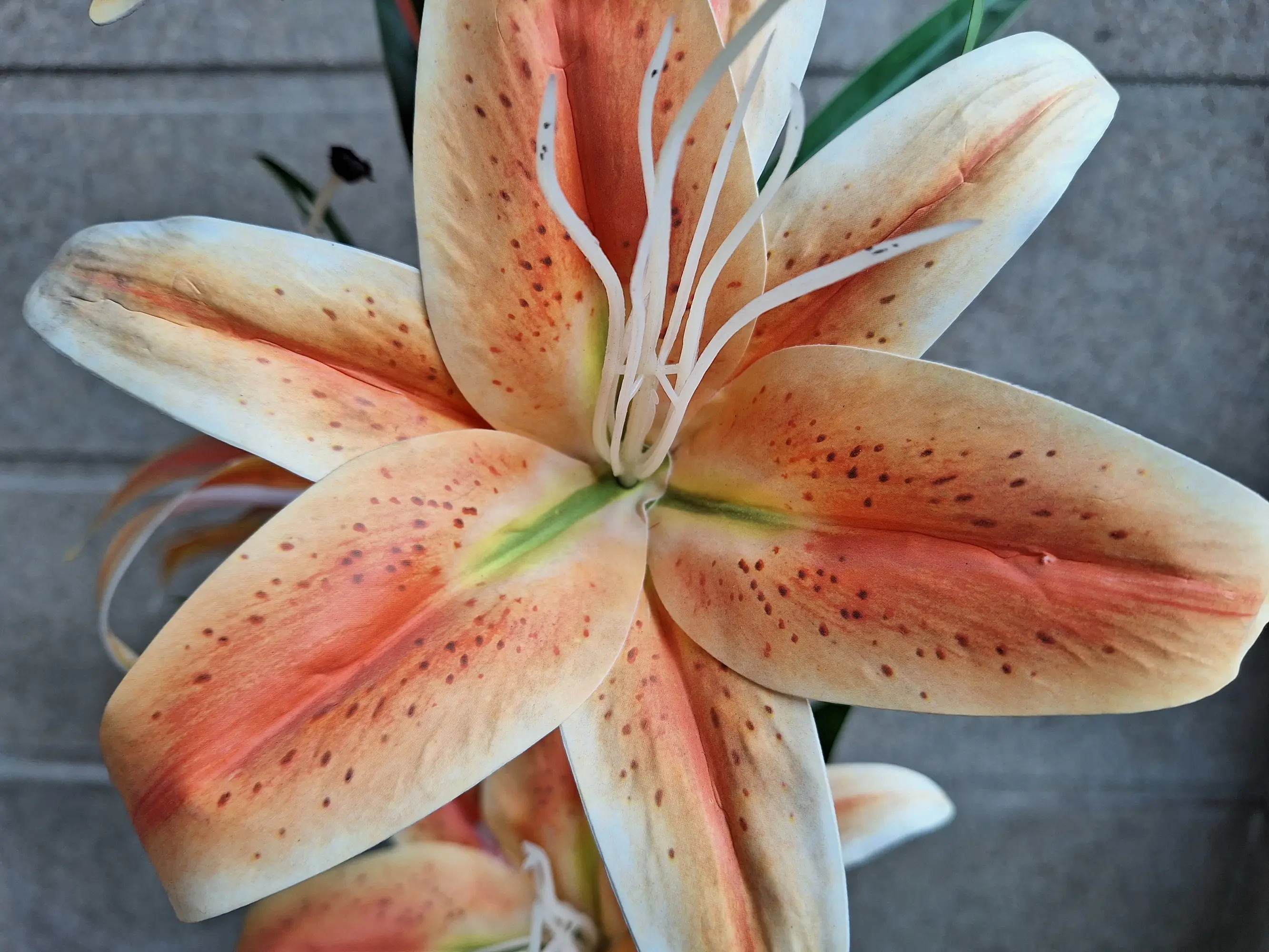 Samsung Galaxy A54 5G Close Up Image.