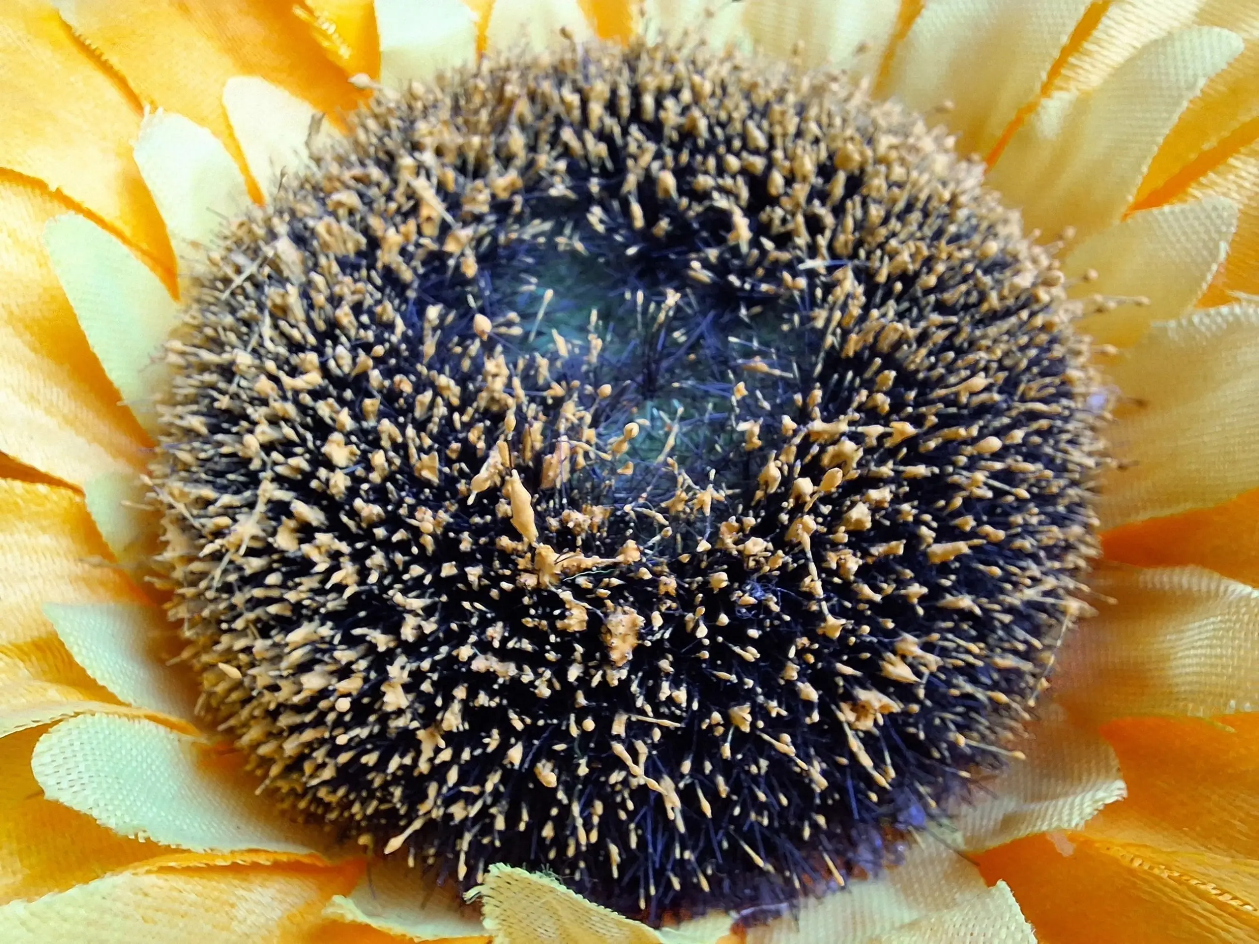 Samsung Galaxy A54 5G Macro Image.