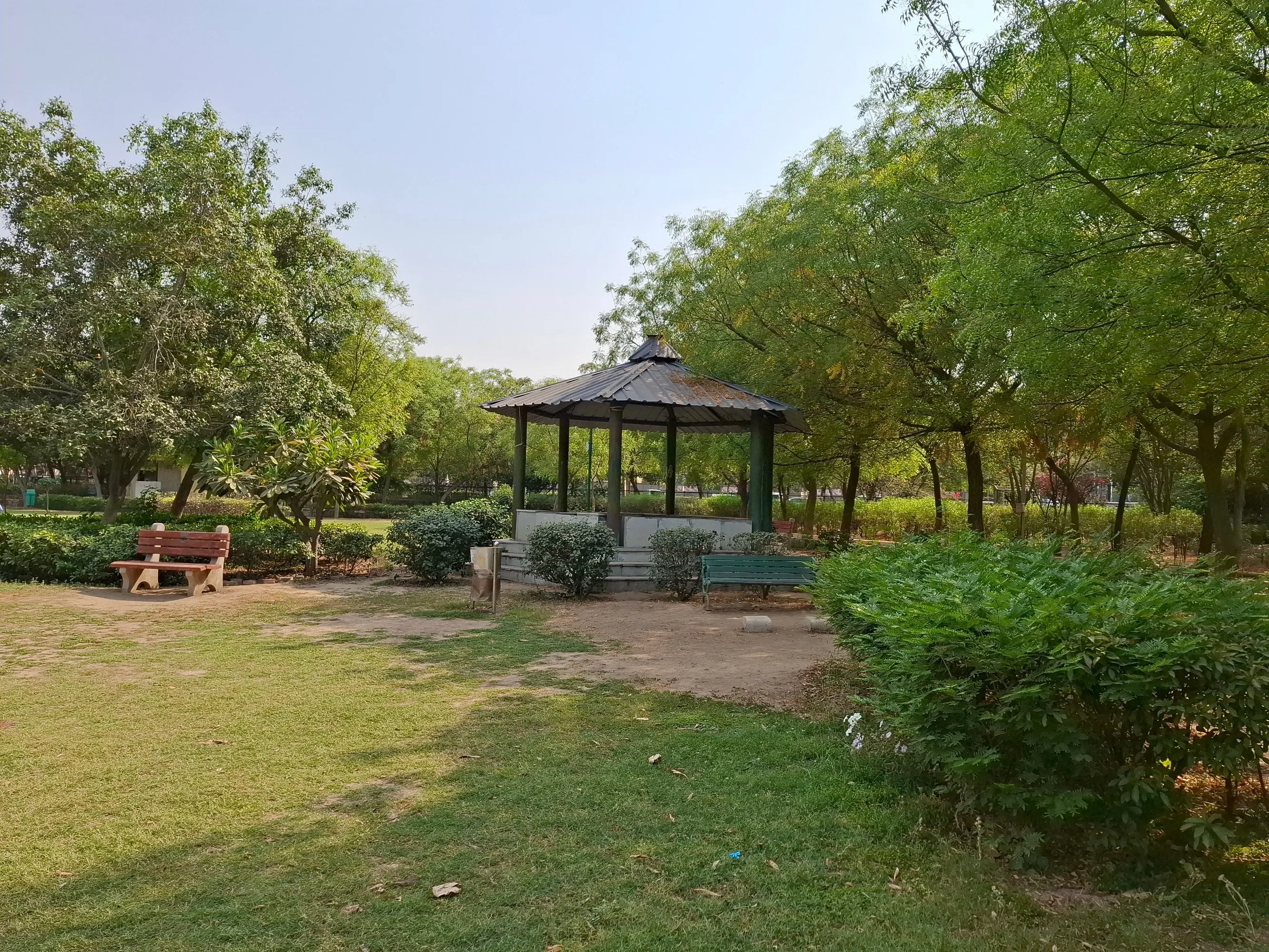 Samsung Galaxy A55 Daylight Image.