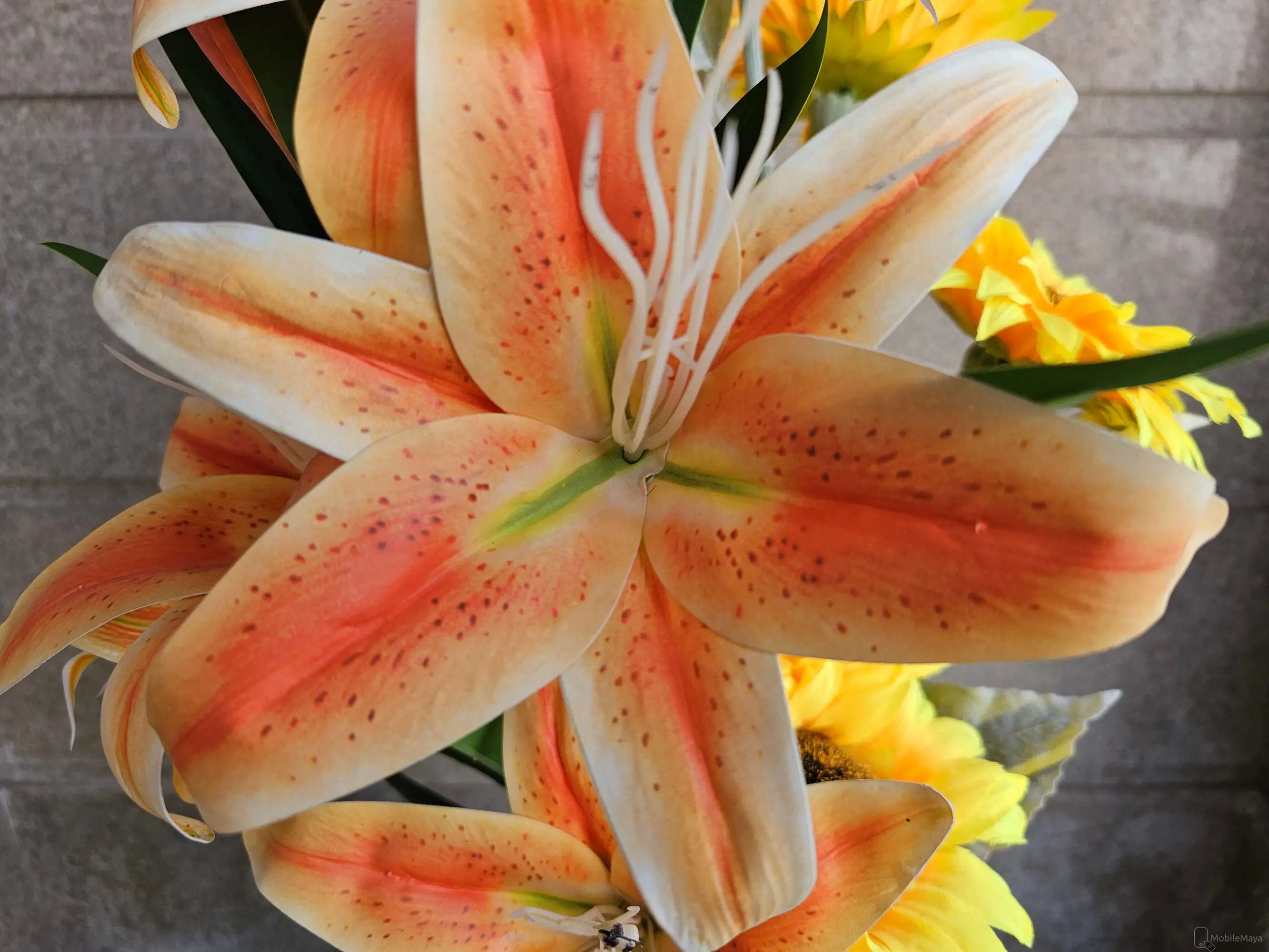Samsung Galaxy S23 Ultra Close Up Image.
