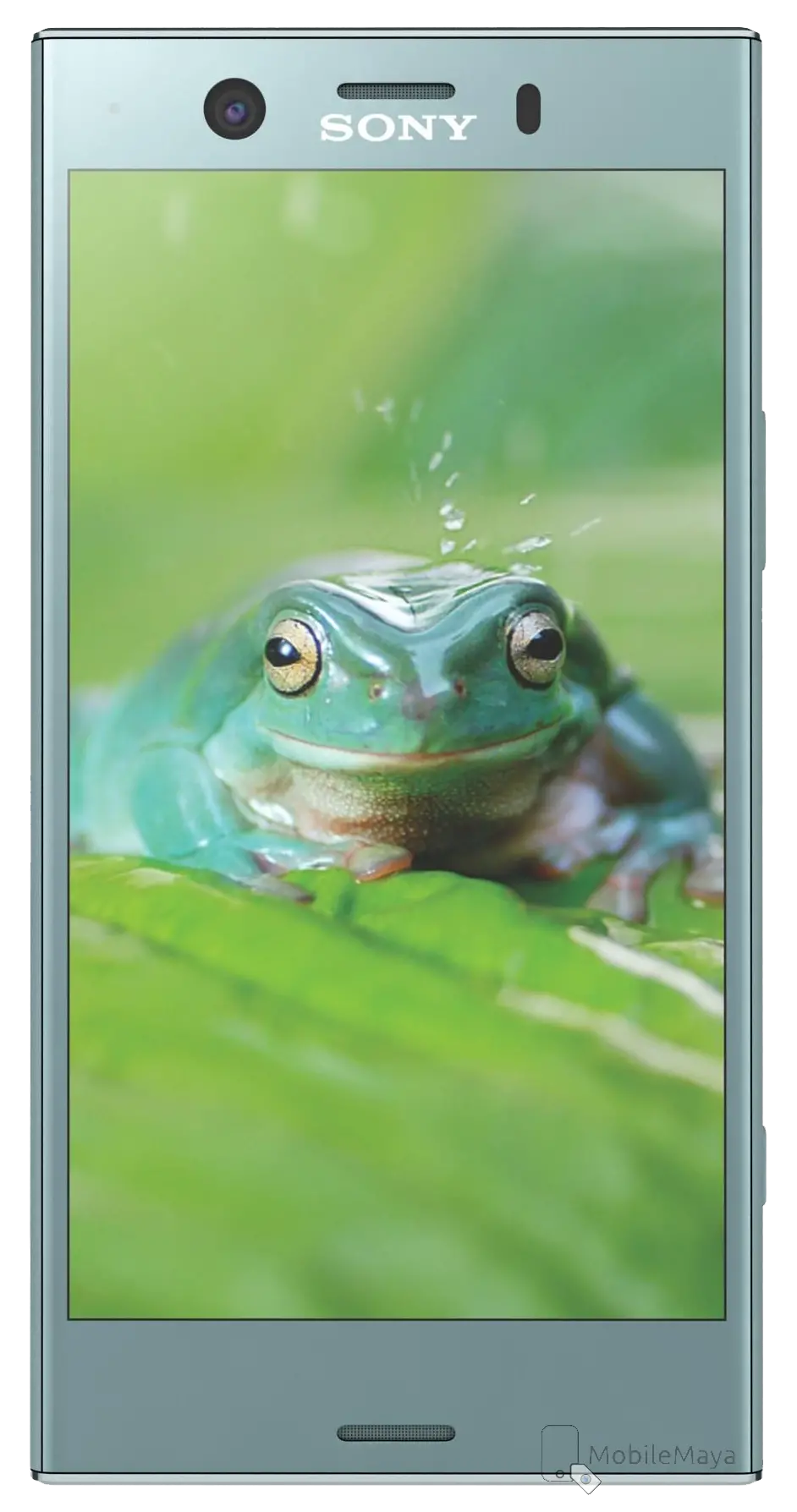 Sony Xperia XZ1 Compact Front Image