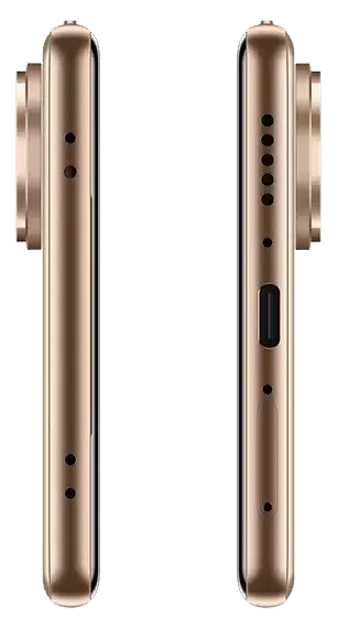 Vivo V60 5G Auspicious Gold Charging Port Image.