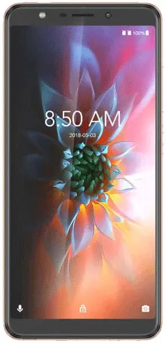 Walton Primo RM5 Front Image.png